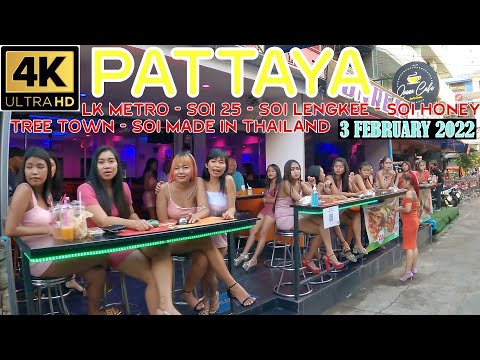 Pattaya [4K] Soi Buakhao LK Metro Soi Honey Soi 25 Made in Thailand 3 February 2022 Thailand