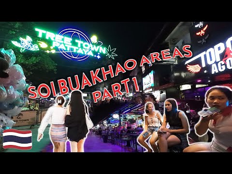 Soi Buakhao Areas (Myth Night, MIT, Tree Town, LK Metro, Soi Diana, Soi Pothole) Pattaya, Thailand